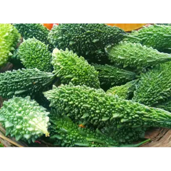 bitter gourd (14)-2598082-63989.webp